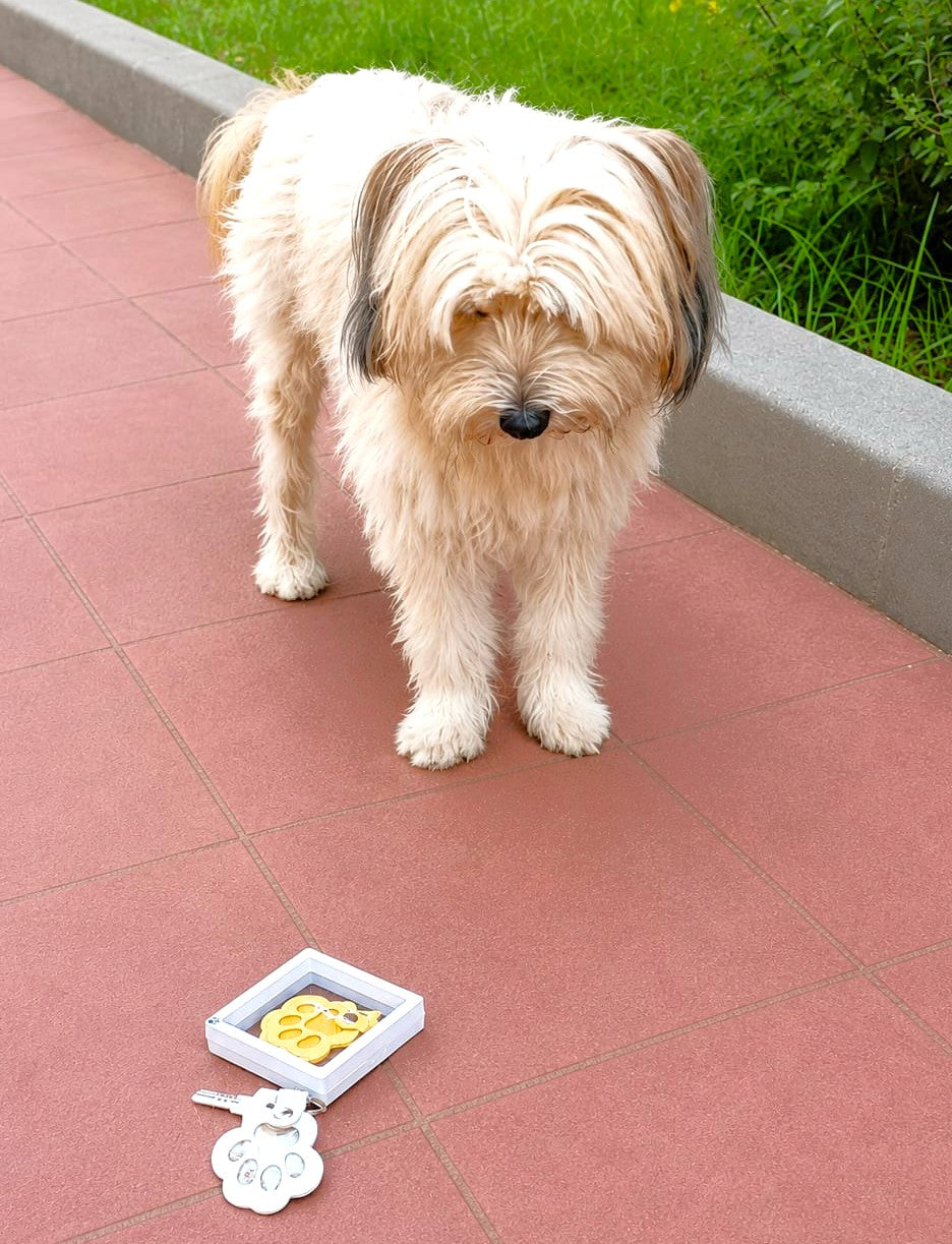 Llavero Huella para guardar un mechón de pelo de tu mascota. Un pedacito de él, siempre contigo