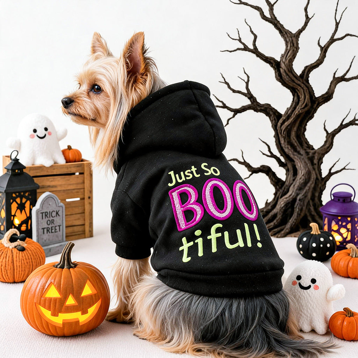 Sudadera de Halloween "BOO" para mascotas.