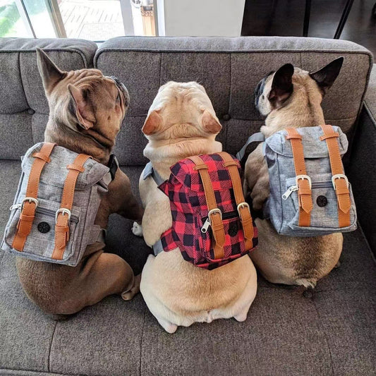 Mochila Portátil para Perros – Paseos con Estilo