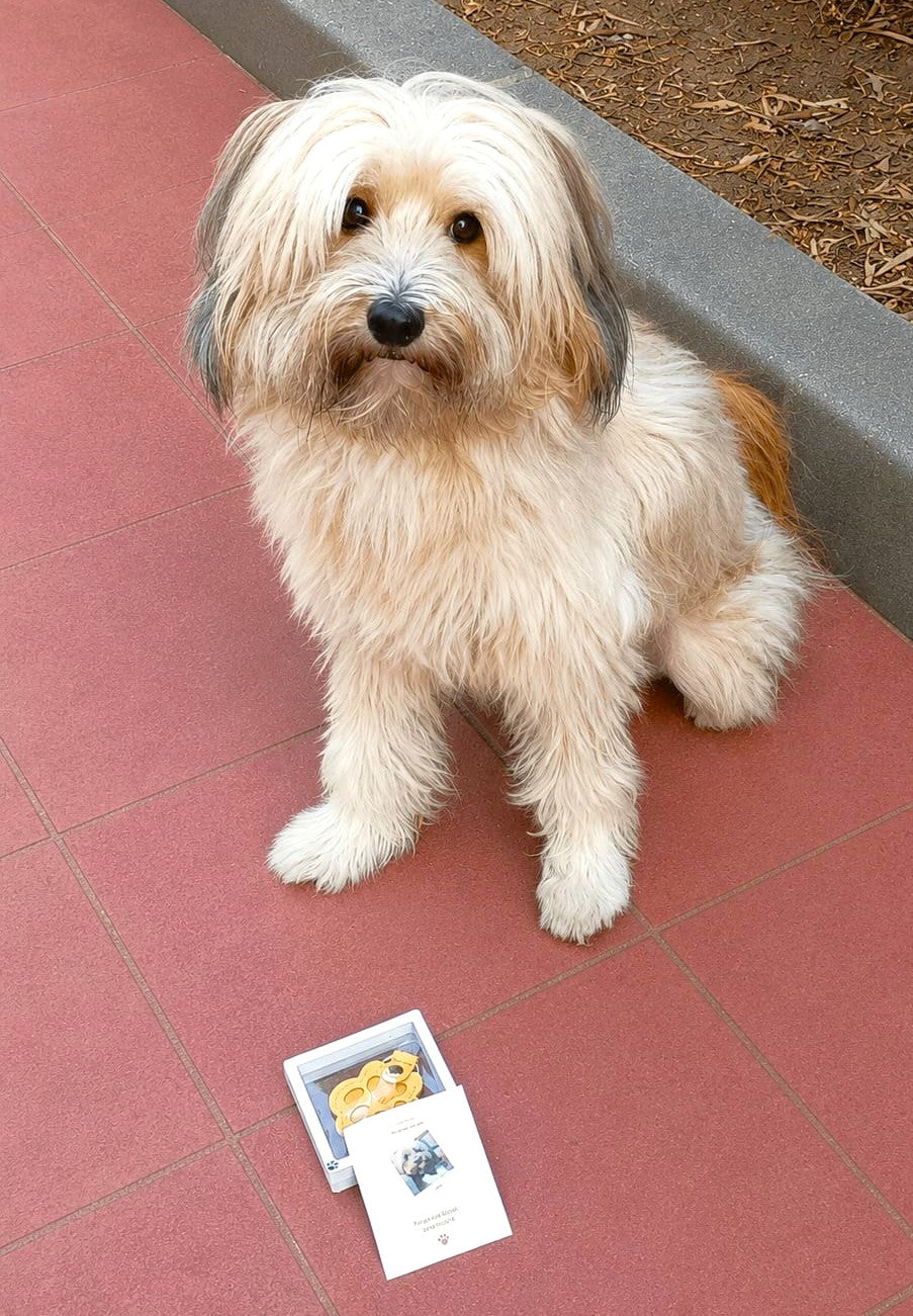 Llavero Huella para guardar un mechón de pelo de tu mascota. Un pedacito de él, siempre contigo
